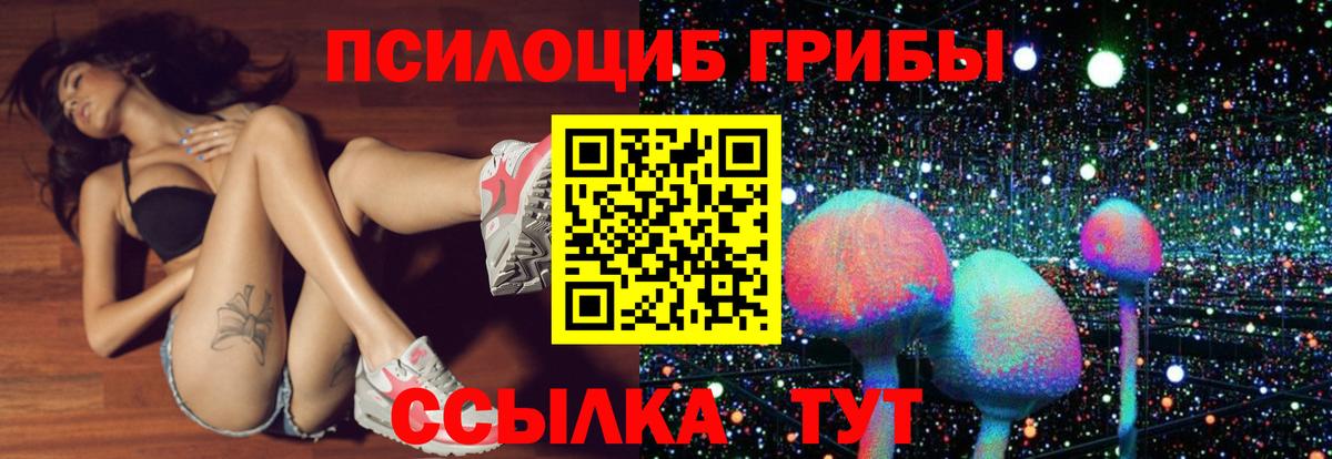 Галлюциногенные грибы Psilocybe Заринск